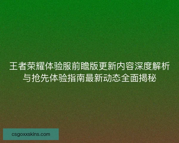 王者荣耀体验服前瞻版更新内容深度解析与抢先体验指南最新动态全面揭秘