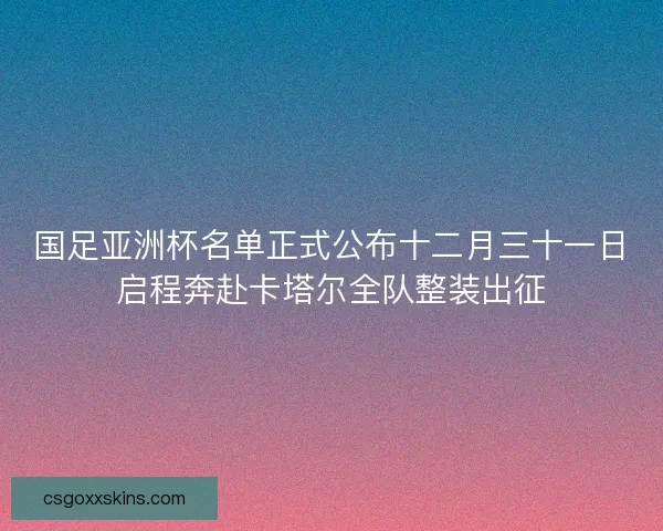 国足亚洲杯名单正式公布十二月三十一日启程奔赴卡塔尔全队整装出征